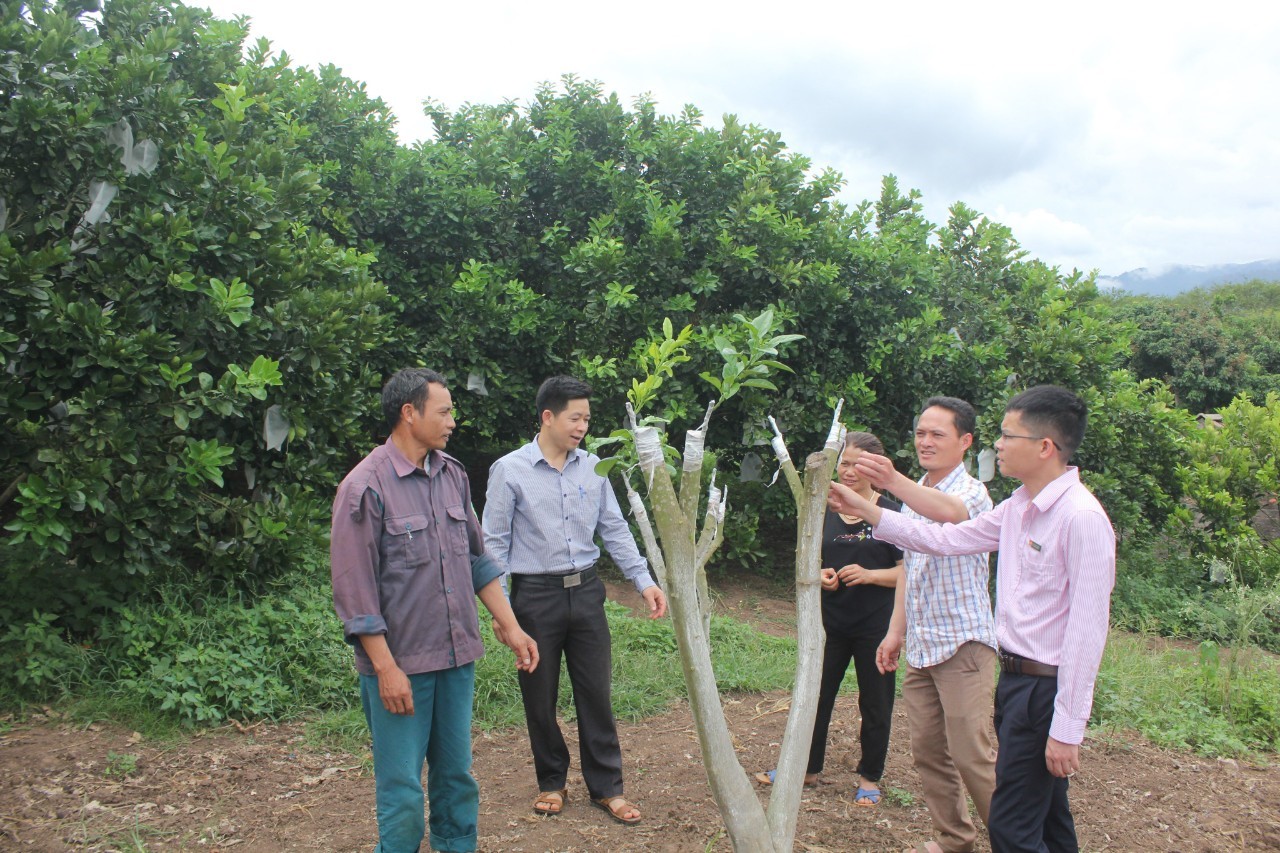 Hiệu quả của tín dụng chính sách trên hành trình cùng đồng bào dân tộc thiểu số thoát nghèo