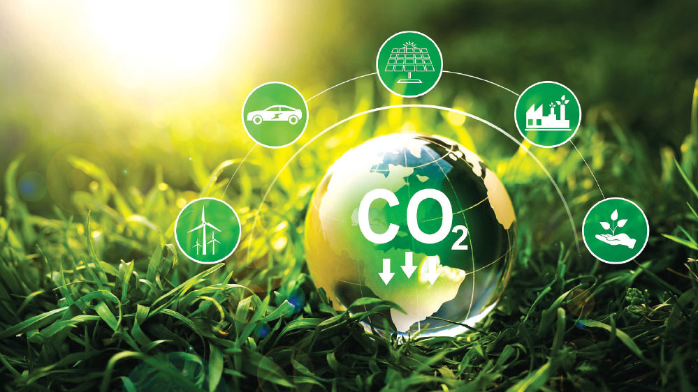 Nguồn lực tài chính thúc đẩy tăng trưởng xanh ở Việt Nam